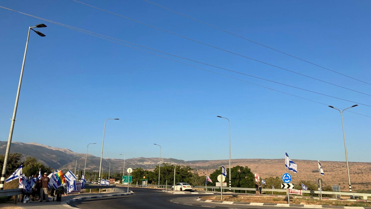 The small protest around Horshat Tal junction in northern Israel's Golan Heights.